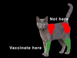 vaccine-sites.jpg